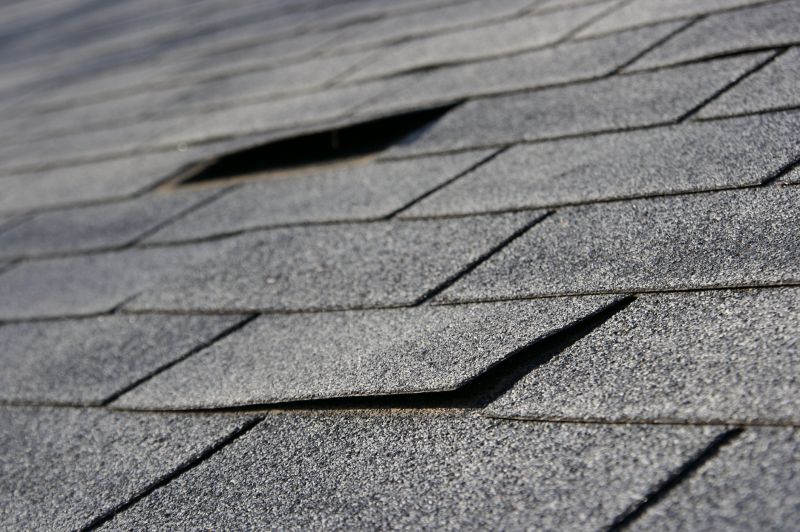 Shingle Replacement and Reinforcement