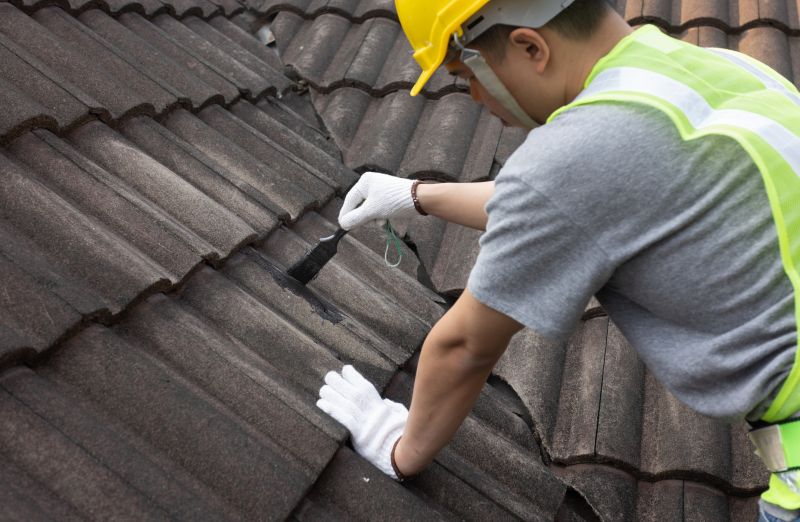 Skilled Roof Repair Team