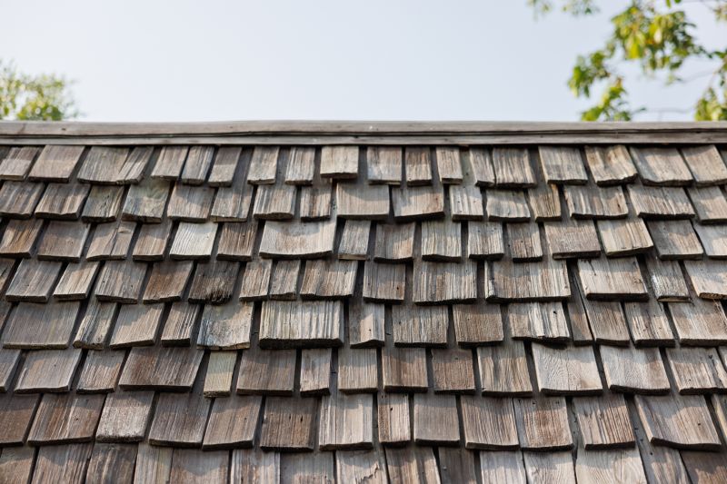 Shake Shingle Repair detail