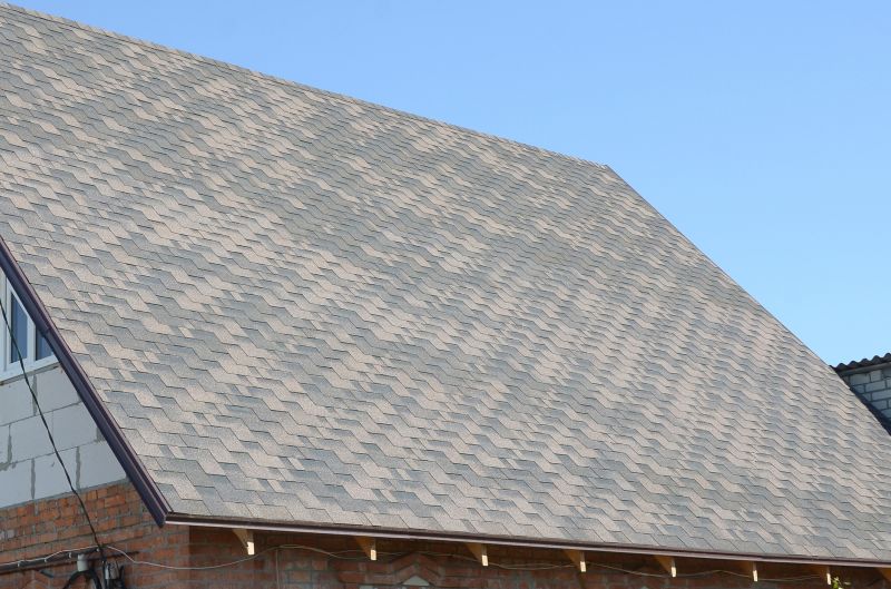 Specialized Roofing Companies